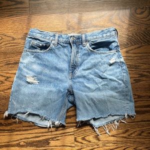 Everlane the Denim short